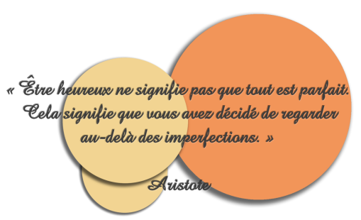 Citation originale : Être heureux ne signifie pas que tout est parfait. Cela signifie que vous avez décidé de regarder au-delà des imperfections. Aristote.