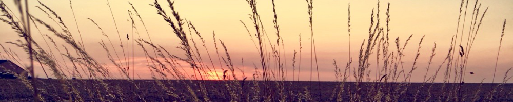 Paysage photographié sur le site d’origine