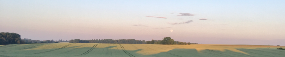 Paysage photographié sur le site d’origine